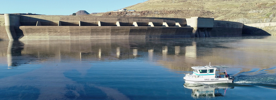 BD_Dam02.jpg