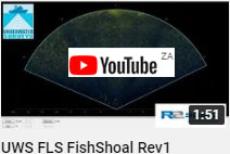 Fish Shoal in Forward Looking Sonar